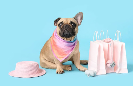 The Cost of Owning a French Bulldog: Budgeting for Your New Pet