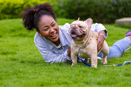 Are French Bulldogs Good Therapy Dogs? | Complete Rundown